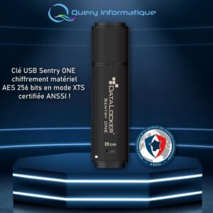Clé USB Sentry ONE chiffrement matériel AES 256 bits en mode XTS